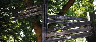 Metal sign post pointing in different directions in front of a tree 