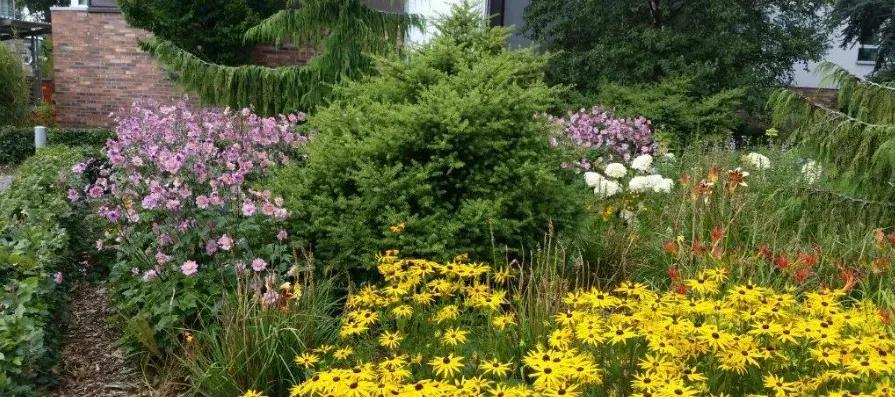 A garden with yellow and pink flowers