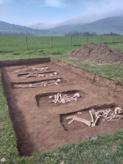 Five human skeleton models in archaeological dig site