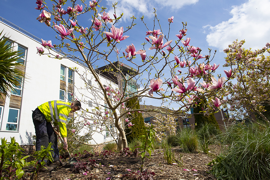 Landscape Team at Pollock Halls