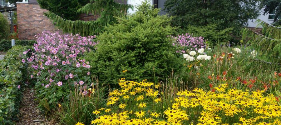 Image of landscaped gardens in bloom